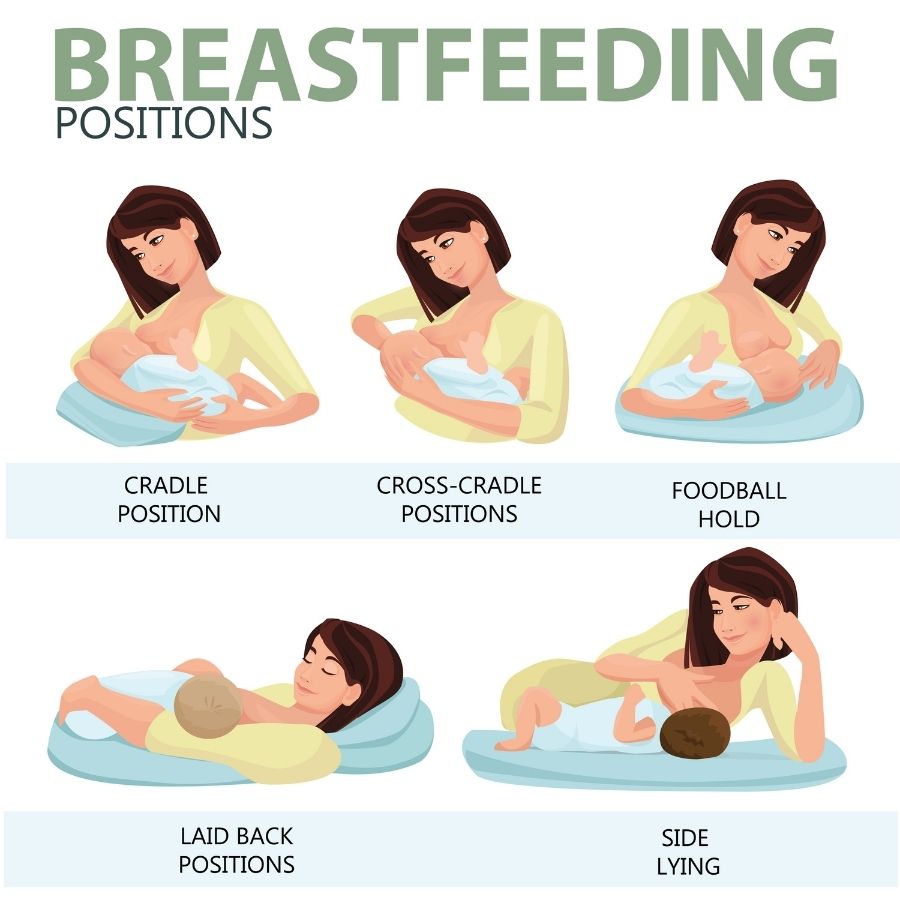 Breastfeeding holds